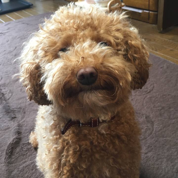 2db90ae3 b6d3 4b4d 8f17 d62def1737f0