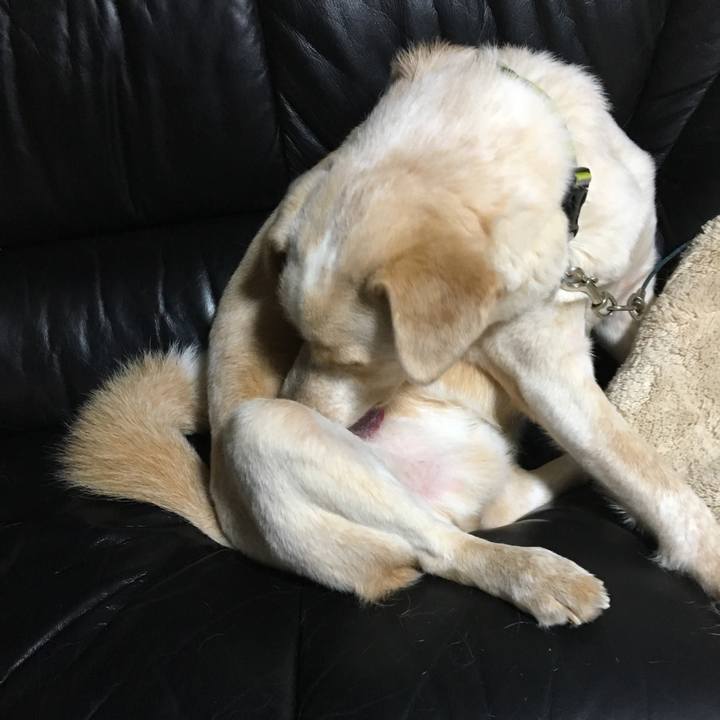 2dba0de0 8ae4 4ed8 b792 8380d3894962