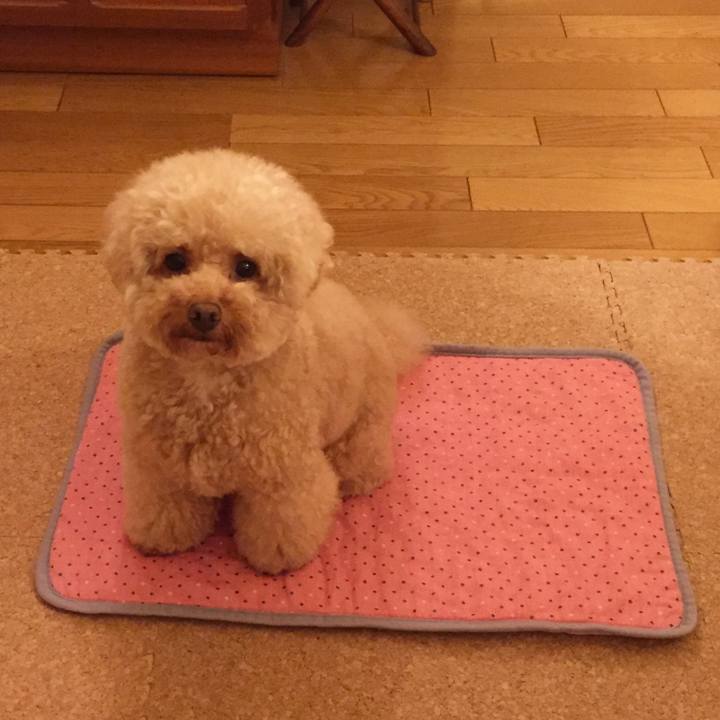 2dba71a8 8ce1 4ddf bd61 443d2a218b03