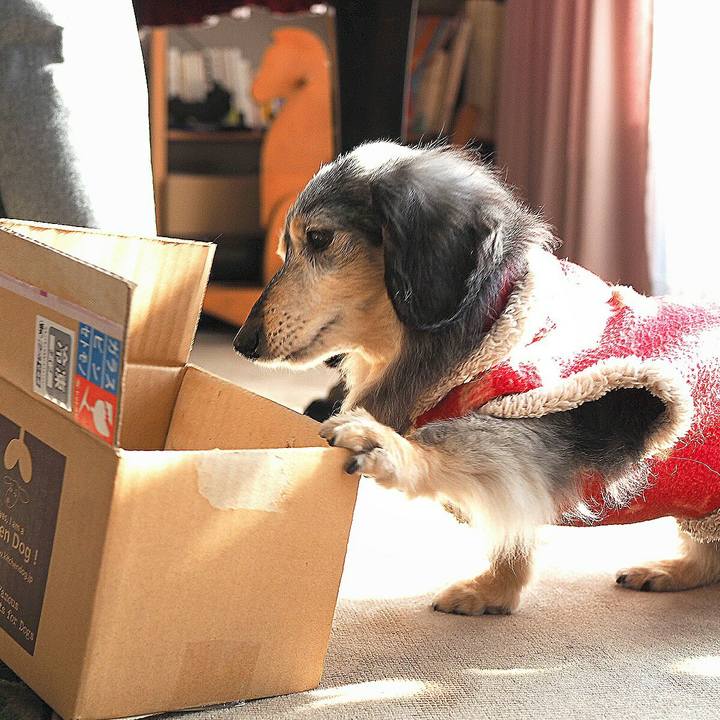 2dba77be 6294 4621 9420 b425de607d65