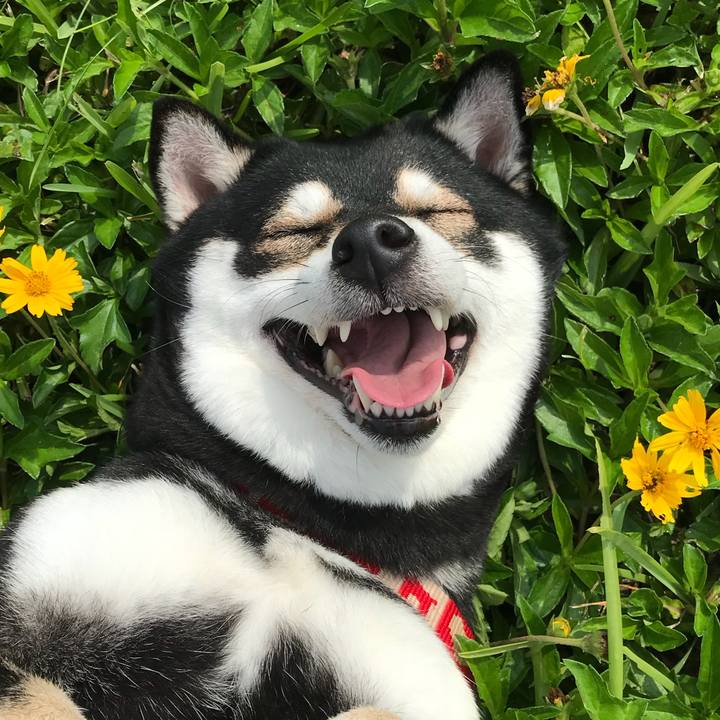 2dbc1567 966b 4fef a82a 5d350f1b0dd3