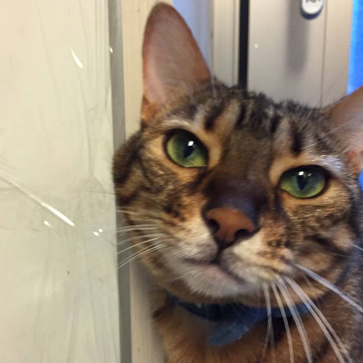 2dbcbf44 e519 43d7 bf15 bb612260a420