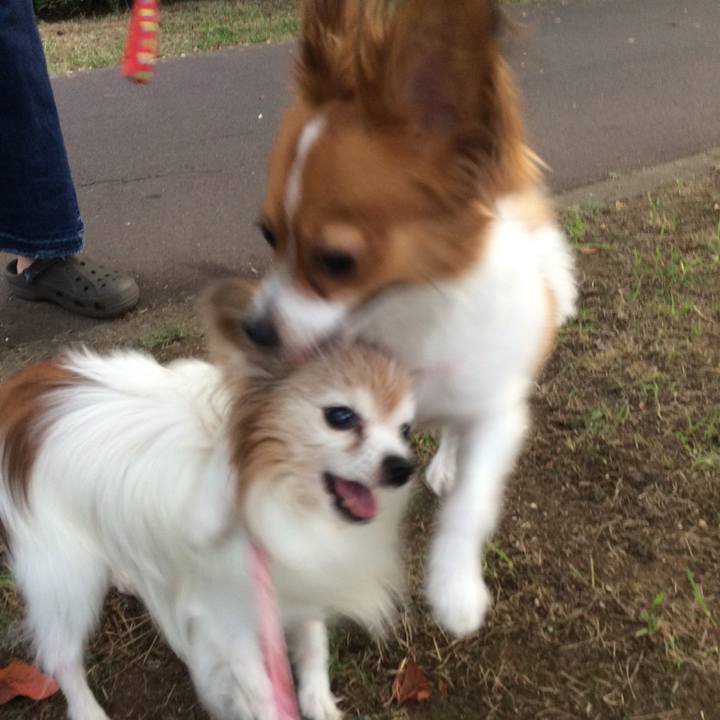 2dbd8e0e 2895 41e2 b334 9050388bd647