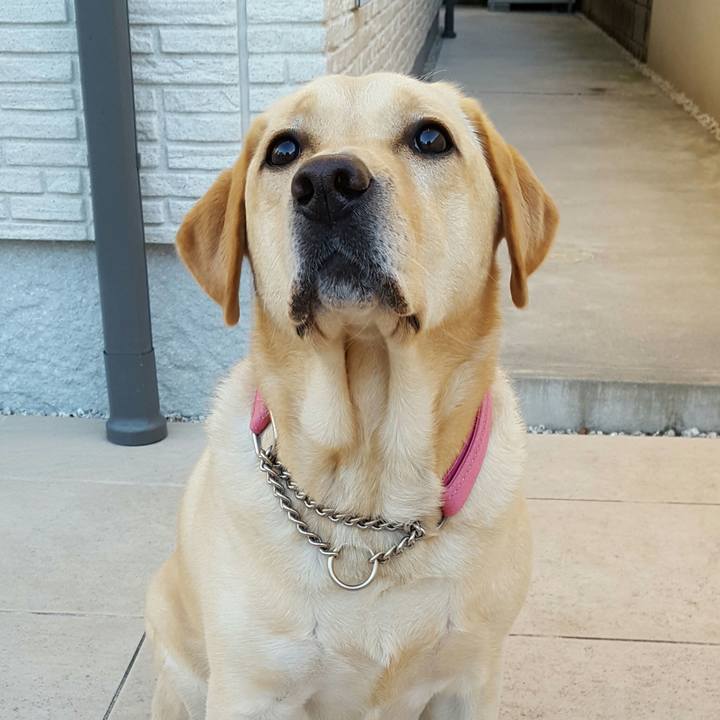 2dbe4295 d6d7 40f1 a8e1 8ef69299f9fd