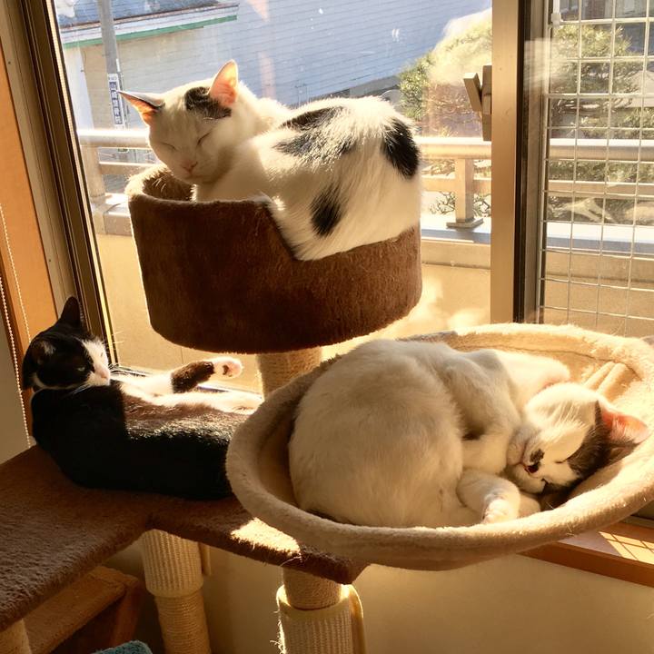 2dbed2ca 5ba9 4875 ad67 67e6c65dfbb2