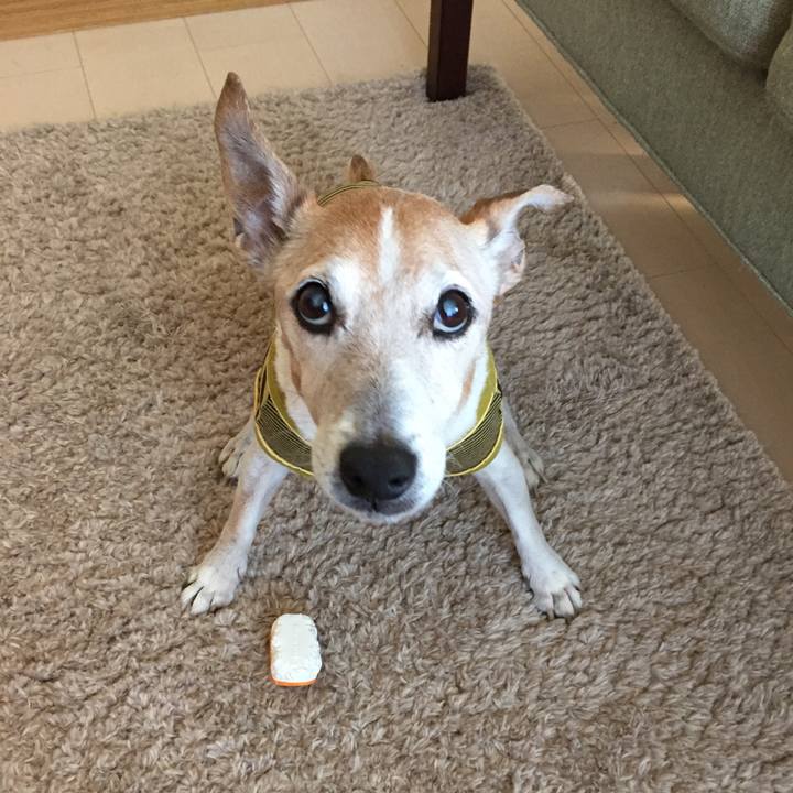 2dbee6d2 7a80 4209 8e92 c0b4f5e8f38d