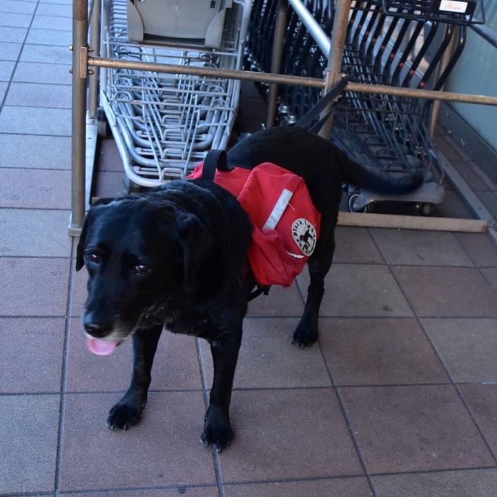 2dbf1fcc 1bd5 4766 aa04 45604e610de9