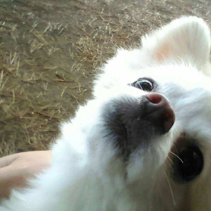 2dbf2b66 de3d 49b4 aa7c 61492a4f328c