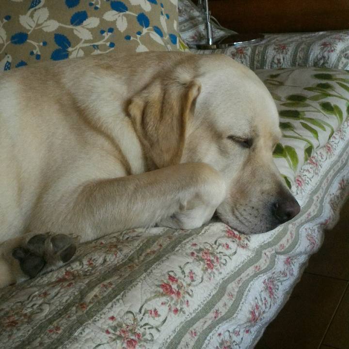 2dbfd325 69f0 40d5 83ad b13d3d4ade4c