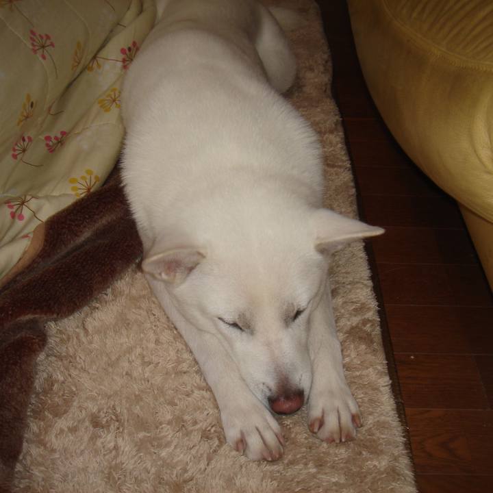 2dbffa1c 5954 4934 8c2a 77c68663100d