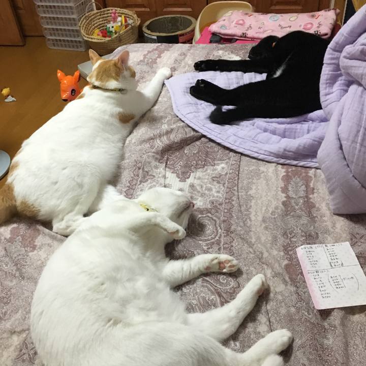 2dc0c250 cde4 4d7e ae58 59fbcfc479e5