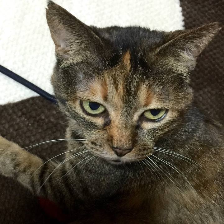 2dc16615 b2c3 4050 b87c c3ef9f5f00f9