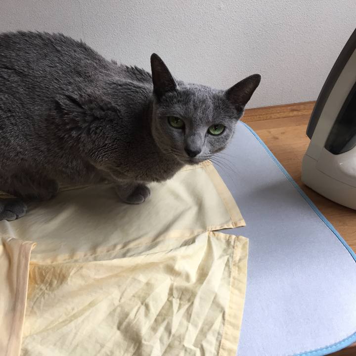 2dc1ce3e 2d89 443a 98ff d38ee99a8a5f