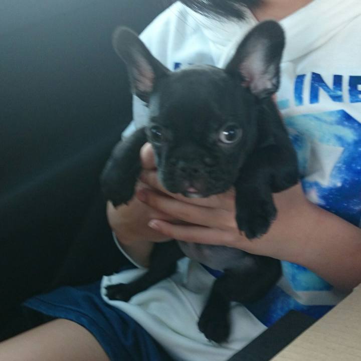 2dc23564 209f 4d7c 97d4 2c0efe6f6d40