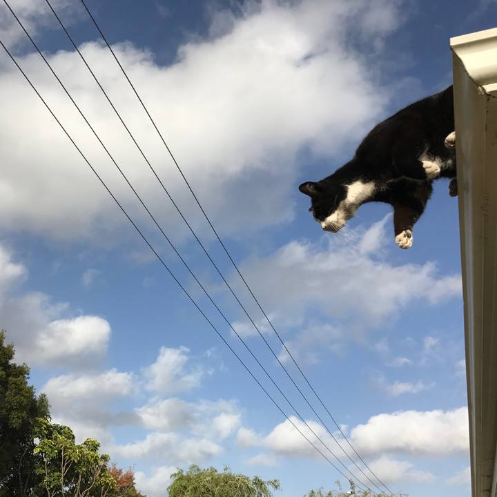 2dc24014 f548 43a4 b9d2 63e35a1b2ff4