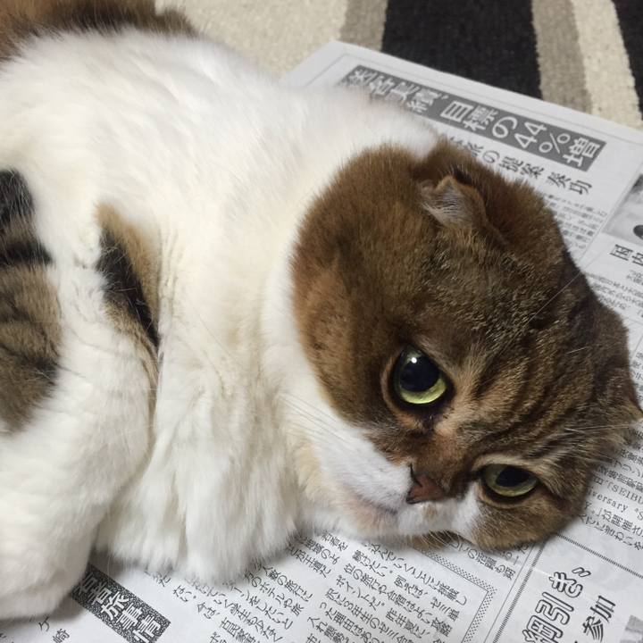 2dc3785e 752c 456e 8e4a 9da23f42258b