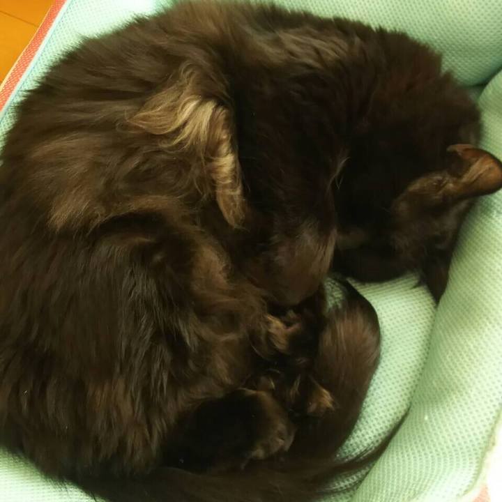 2dc48aac 0277 4e19 8c7c 0fc452be86f8