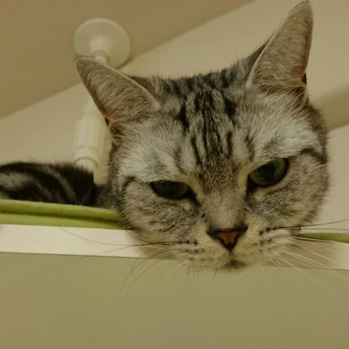 2dc542b4 f942 495d 9d5a 90881f58794f