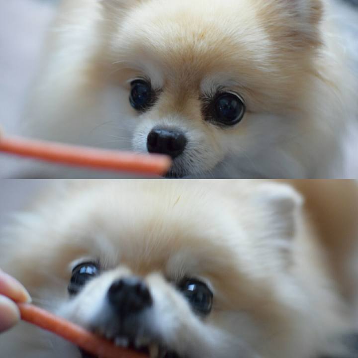 2dc64154 c0b0 4fc0 a3dd 277f08dfa6c5