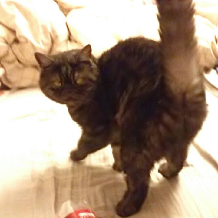 2dc710a0 6626 4a3b 8918 7fb08d380029