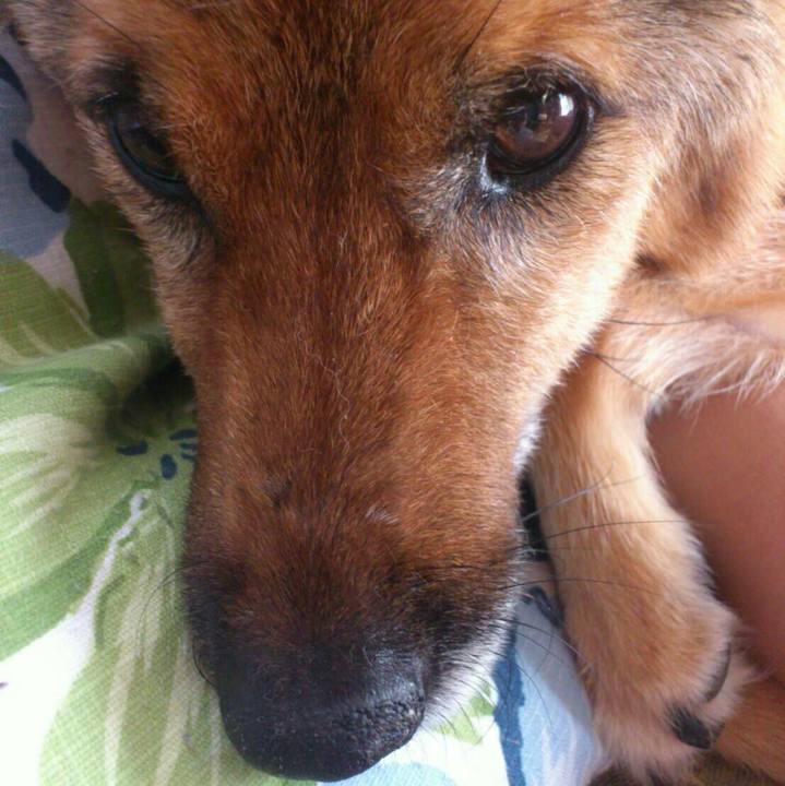 2dc7f8c3 9cb3 451a 8454 9a1b49bc70db