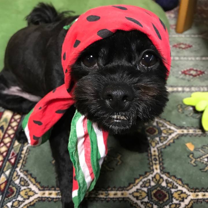 2dc838d7 27ea 4bfc ada0 4f5996637161