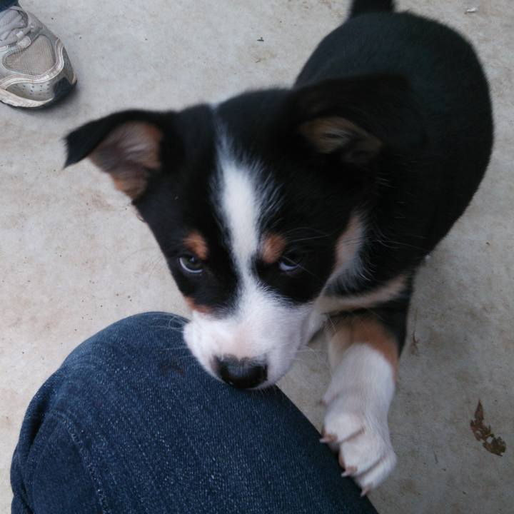 2dc84ceb a0b3 47bb 932a b5041b168cea