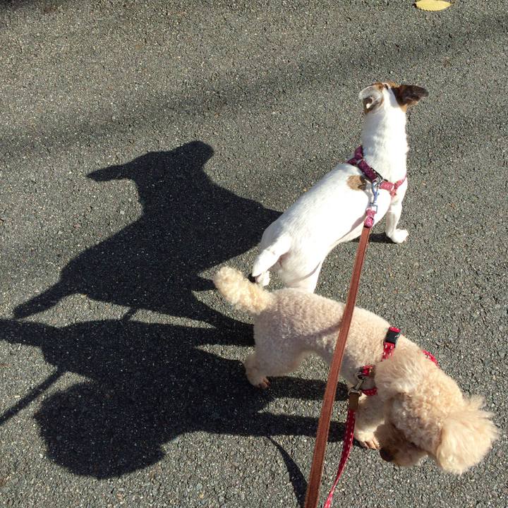 2dc8a3ab 650f 4b29 a278 f2cb6f9bdc05