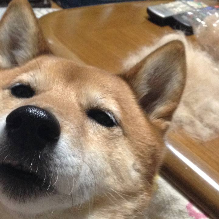 2dc8fea4 61d1 4d64 a138 e6ad70daabb4