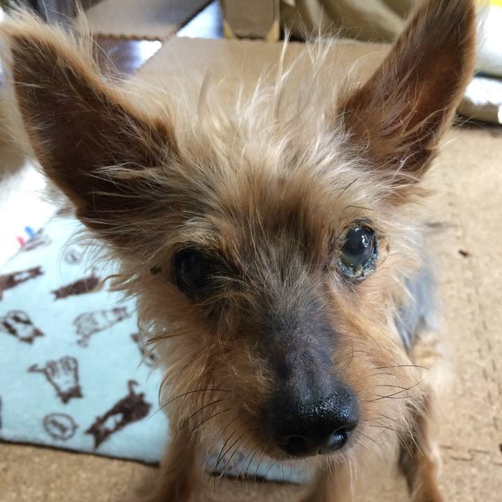 2dc92619 6c30 49e4 b98e 21824931fd35