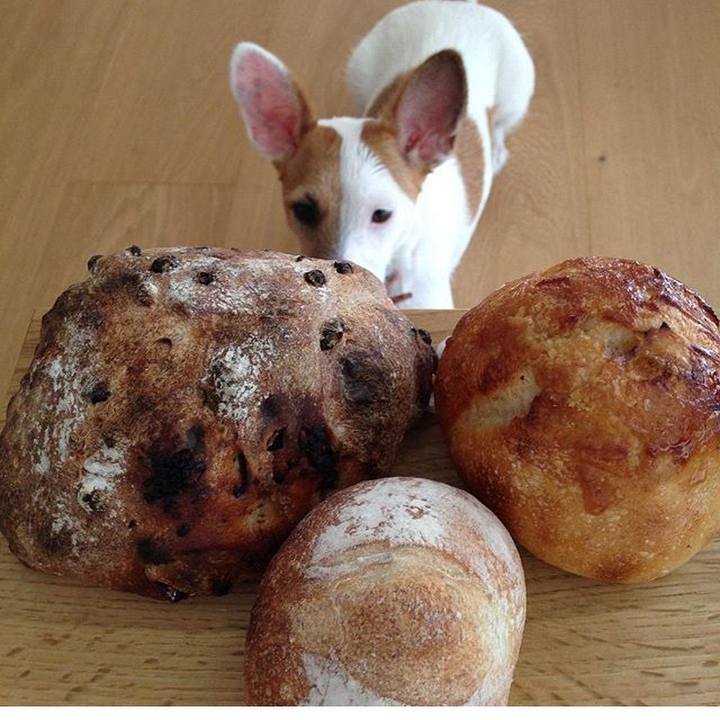 2dc98fc8 68ff 4cd0 a25d da733aac4d2a