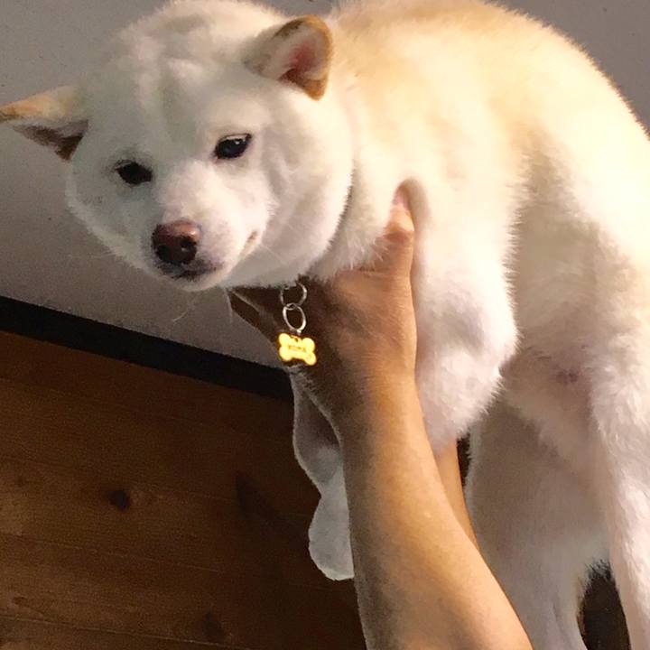 2dc9d099 8bb2 4b17 8724 e4816b395b92