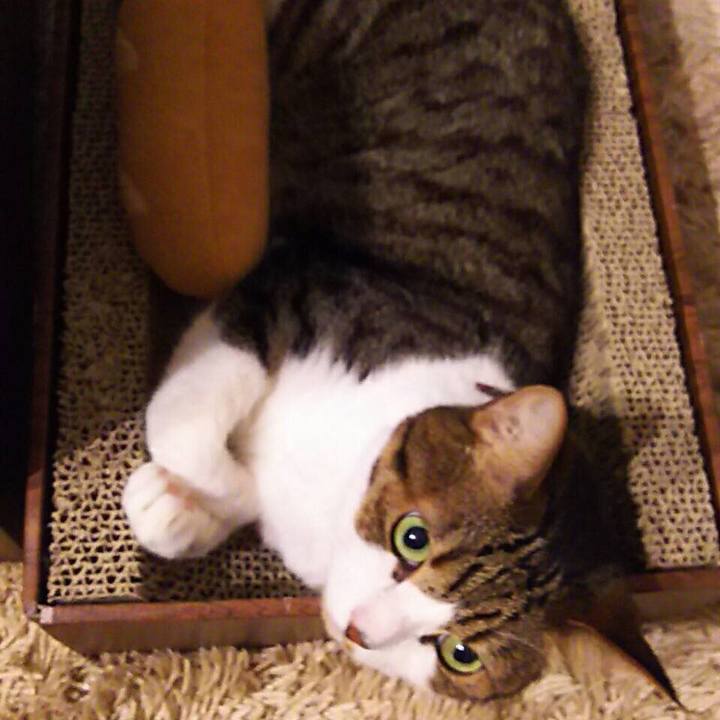 2dc9dd4a 64ca 41a9 972b 1a8c5a73760f