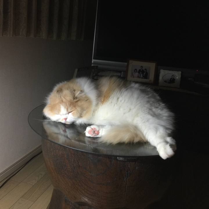 2dc9e7ff 2ca7 4fe3 a1e0 53513ae5e93c