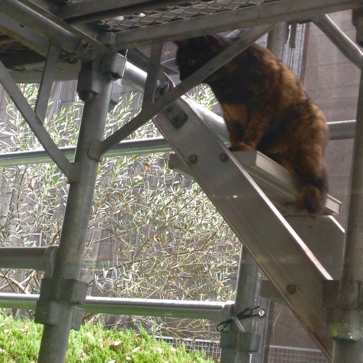 2dca074a 80e0 4a64 aaf0 23767ee87829