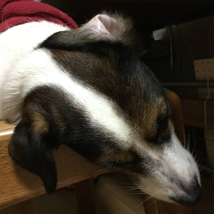 2dcb0dd0 5751 4779 9aa1 c82c504cb60c