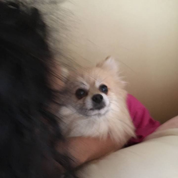 2dcb35c6 ae2d 46aa 824d 44da09e451c7