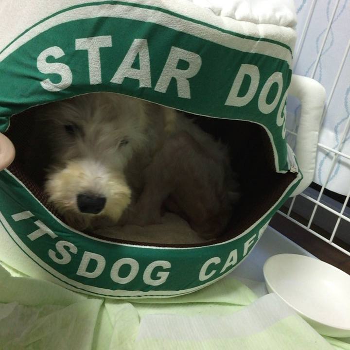 2dcbfadc 9829 439e ad87 14df9b7b12e8