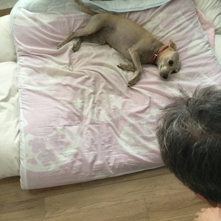 2dcc4298 9551 4b4d 9bf1 f2a955c07ce3