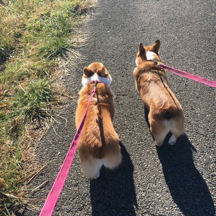 2dccde53 3d1a 439c 8dc4 8136c426bc42