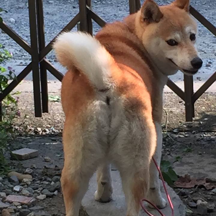 2dcce2fa df91 417e aabe fbae1c9bdaa1