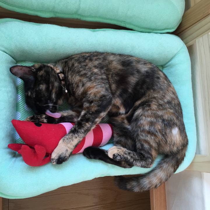 2dcd8239 1783 4166 8d16 88bb59ecf200