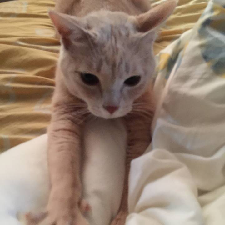 2dcdc37b 7e04 4942 baa1 db47d1269cbc