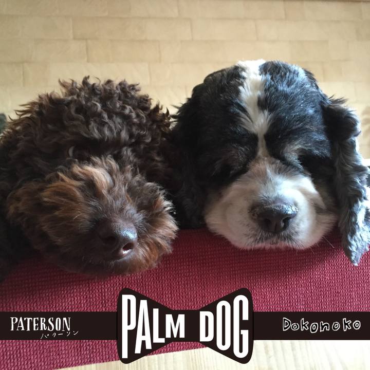 2dce65f2 a5a8 4867 a3d2 b6042aa319de