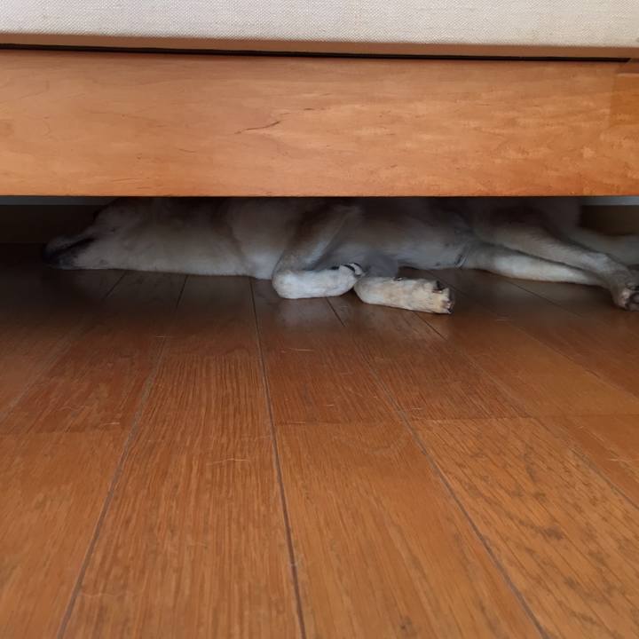 2dce9cbd 3fa8 4e38 81fd 04bf7b0450c6