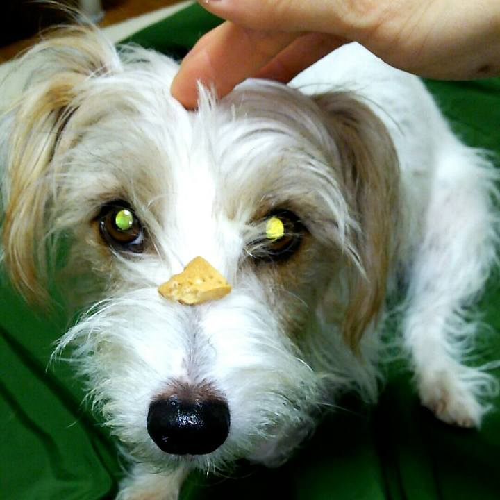 2dceddff bfa2 434d 8d16 3e0d2d6e80e8