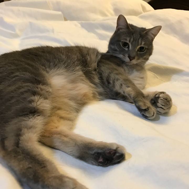 2dcf2a74 aca3 40d4 89c7 72405006e361