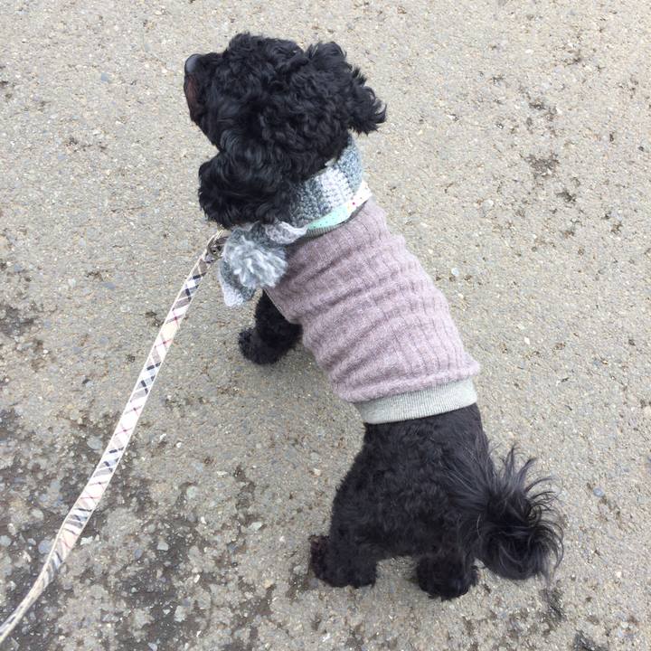 2dcf3403 b126 4755 899d 4da3784aab95