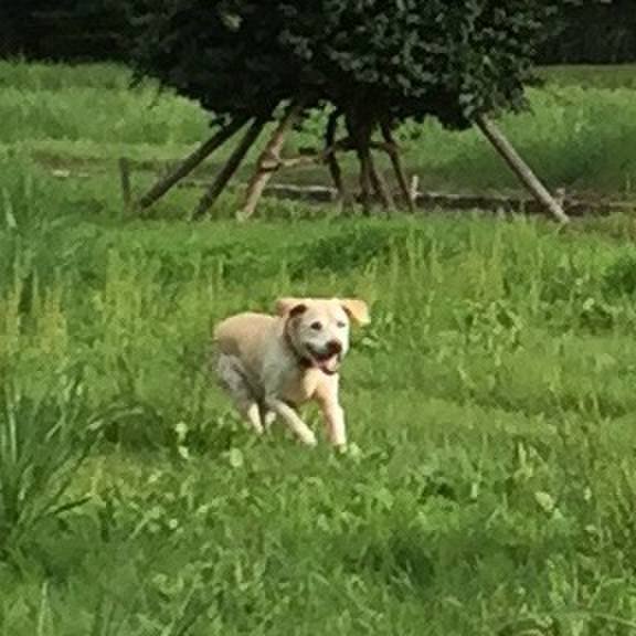 2dcf7c2f da86 487b a406 adf786ac44a3