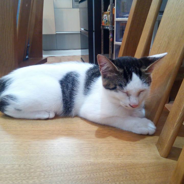 2dcfc582 24dc 47e7 aa1f 5d200e686915